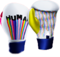 Thumbnail for version as of 15:37, 17 October 2023