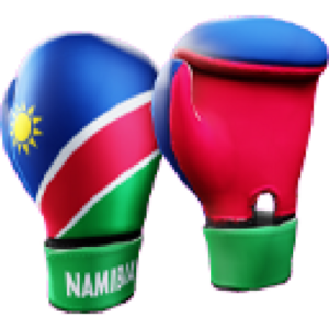 Namibia Gloves.png