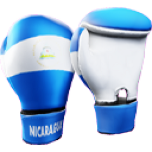 Nicaragua Gloves.png