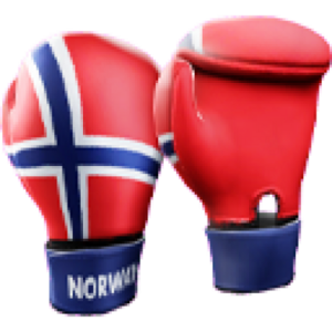 Norway Gloves.png